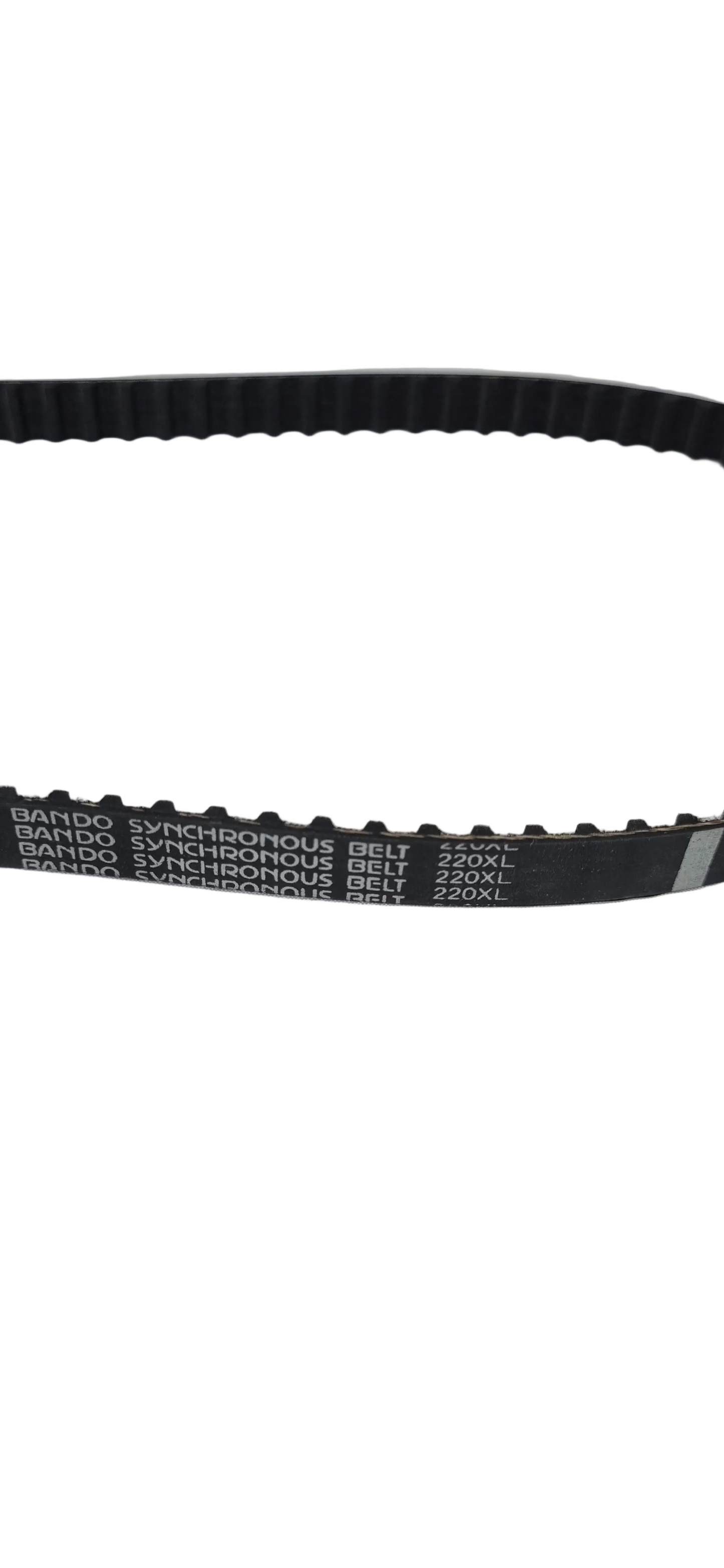 Correa Interna Collarín Dentada (220XL)